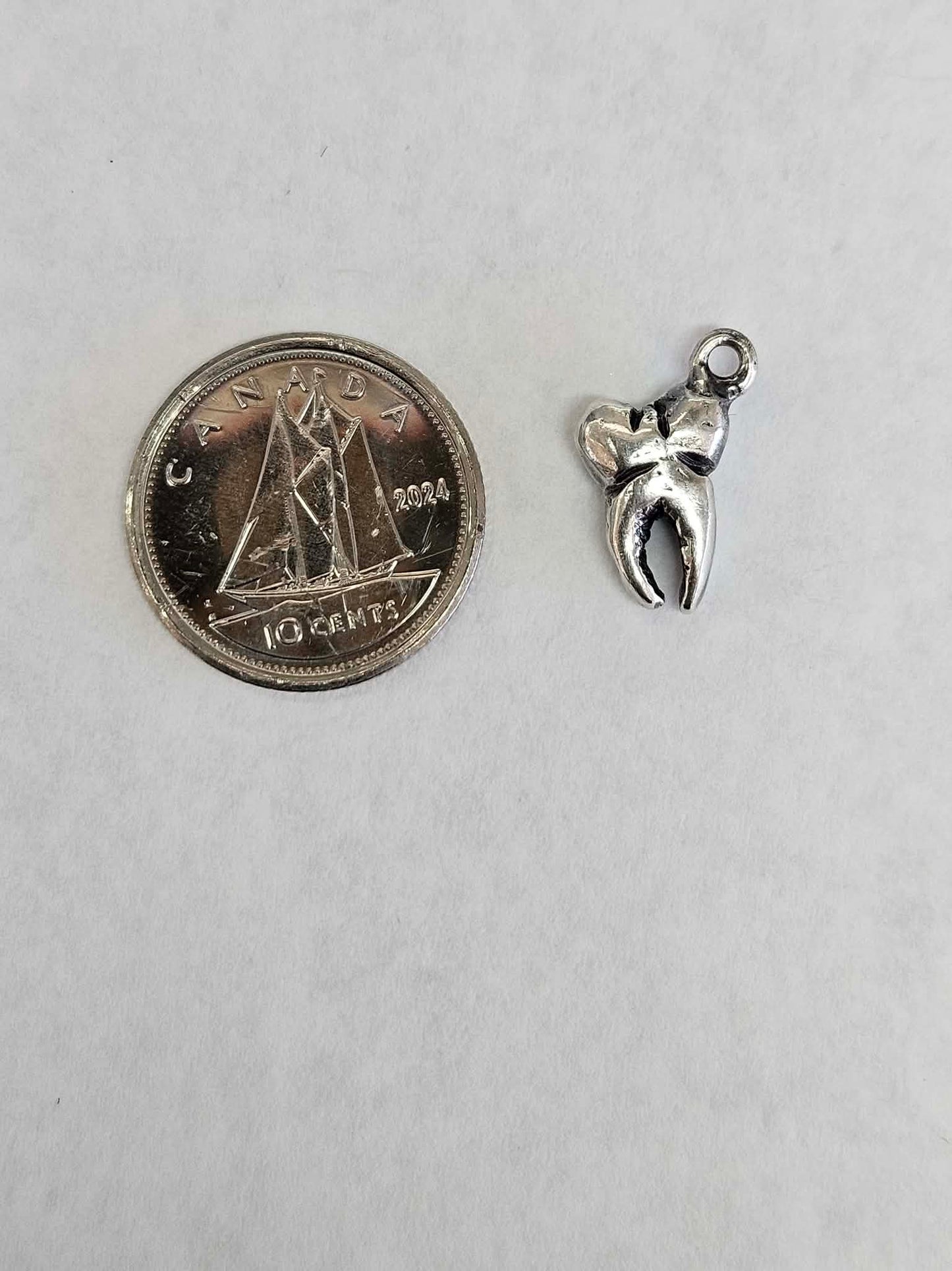 Tooth Charm